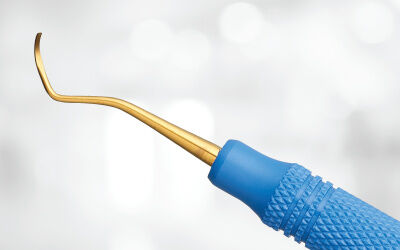 YI_Newsletter_Post_Image_columbia-13-14_header_5.webp